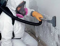 Best Residential Mold Inspection & Testing  in Carthage, TN